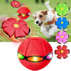 Hundespielzeug - Fliegender Ball - Petmoment