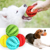 Hundespielzeug Gummiball - Petmoment