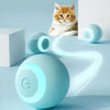 Katzenspielzeug interaktiv Ball - Petmoment