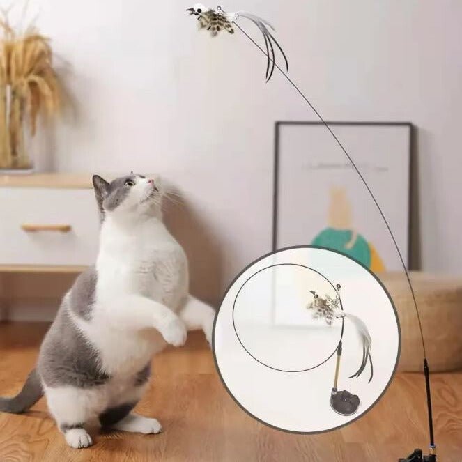 Katzenspielzeug interaktiv "Vogel" - Petmoment